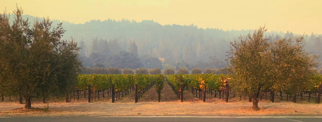 Northern California Fires