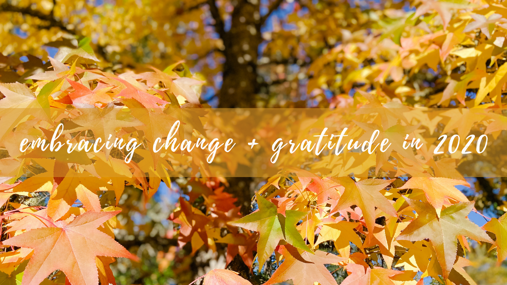 Embracing Change + Gratitude in 2020